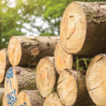 Waverly Advisors lumber prices image